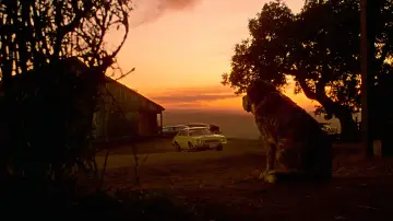 Zasłona do filmu "Cujo" #853727