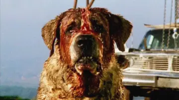 Zasłona do filmu "Cujo" #853729