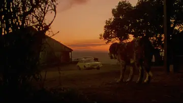 Zasłona do filmu "Cujo" #853733