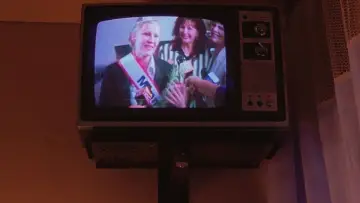 Zasłona do filmu "Zabójcza piękność" #980708