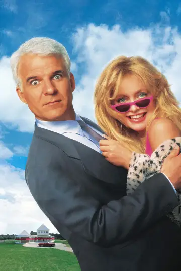 Plakat do filmu "Dzika lokatorka" #302402