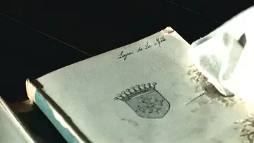 Zasłona do filmu "Królowa Margot" #990227