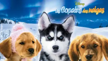 Zasłona do filmu "Kudłaty zaprzęg" #426627