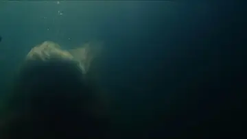 Zasłona do filmu "Akwamaryna" #869291