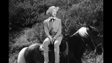 Zasłona do filmu "Calamity Jane" #1022902