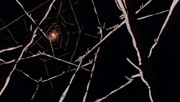 Zasłona do filmu "超時空要塞マクロス 愛・おぼえていますか" #394806
