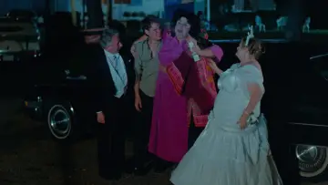 Zasłona do filmu "Polyester" #951021