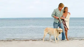 Zasłona do filmu "Marley i Ja" #744226
