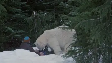 Zasłona do filmu "Afera poniżej zera" #1043599