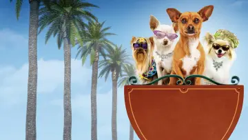 Zasłona do filmu "Cziłała z Beverly Hills" #329036