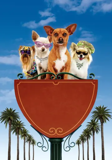 Plakat do filmu "Cziłała z Beverly Hills" #923235