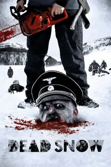 Plakat do filmu "Zombie SS" #310393