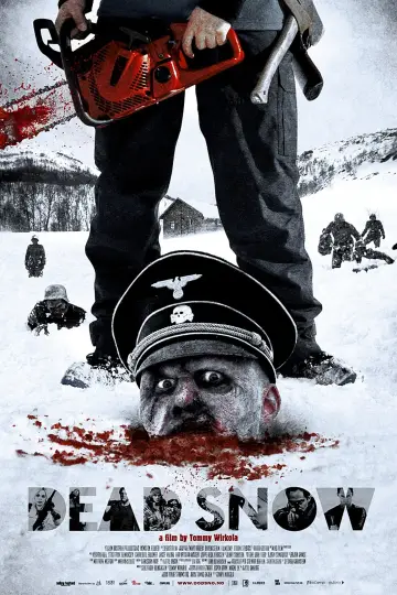 Plakat do filmu "Zombie SS" #310395