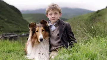 Zasłona do filmu "Lassie" #461119