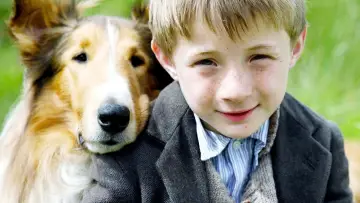 Zasłona do filmu "Lassie" #461120