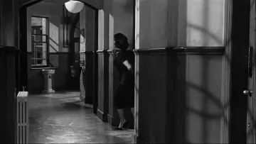 Zasłona do filmu "Nagle, zeszłego lata" #1045867