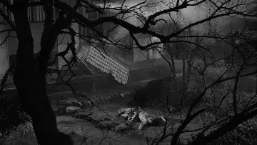 Zasłona do filmu "Opowieści księżycowe" #1648303