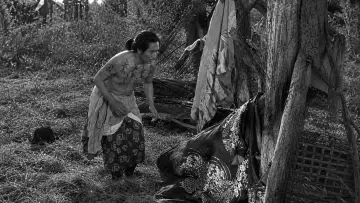 Zasłona do filmu "Opowieści księżycowe" #1648309