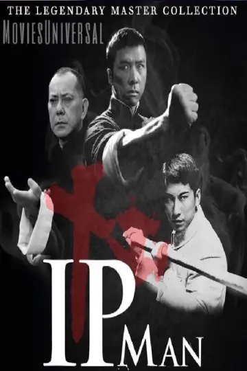 Plakat do filmu "Ip Man" #132518