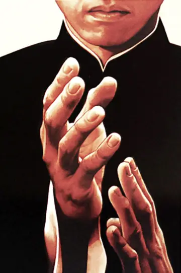 Plakat do filmu "Ip Man" #715888