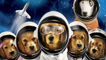Zasłona do filmu "Gwiezdny zaprzęg" #404759