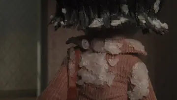 Zasłona do filmu "Koralina i tajemnicze drzwi" #1892356