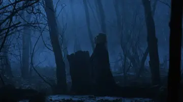 Zasłona do filmu "Hamlet" #708910
