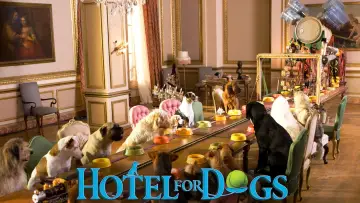 Zasłona do filmu "Hotel dla psów" #904798