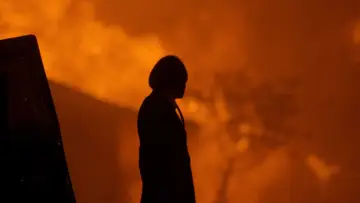 Zasłona do filmu "Mordercze kuleczki II" #936576