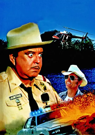 Plakat do filmu "Mistrz kierownicy ucieka 3" #390376