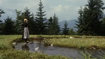 Zasłona do filmu "Dźwięki muzyki" #599590