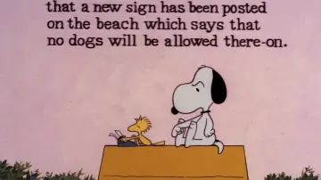 Zasłona do filmu "Snoopy, Come Home" #1058342
