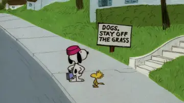 Zasłona do filmu "Snoopy, Come Home" #1058344