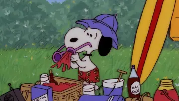 Zasłona do filmu "Snoopy, Come Home" #1058345