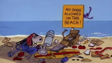 Zasłona do filmu "Snoopy, Come Home" #1058369
