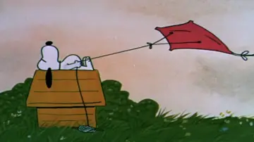 Zasłona do filmu "Charlie Brown i jego Kompania" #1048593