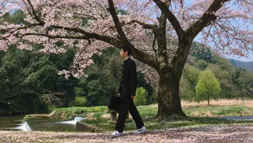 Zasłona do filmu "茶の味" #1649847