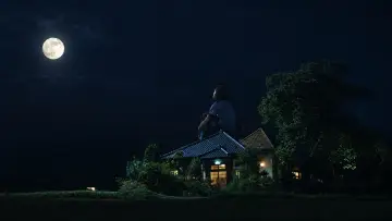 Zasłona do filmu "茶の味" #1649856