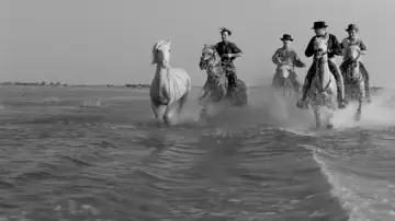 Zasłona do filmu "Crin Blanc : Le Cheval sauvage" #1096770