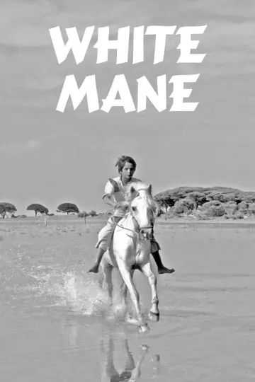 Plakat do filmu "Crin Blanc : Le Cheval sauvage" #1096773