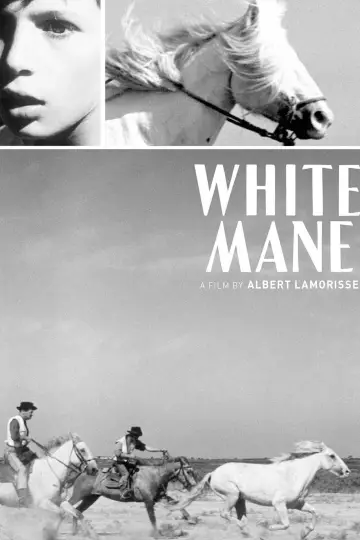 Plakat do filmu "Crin Blanc : Le Cheval sauvage" #1096775