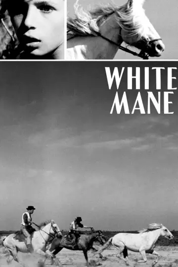 Crin Blanc : Le Cheval sauvage