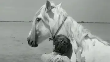 Zasłona do filmu "Crin Blanc : Le Cheval sauvage" #456581