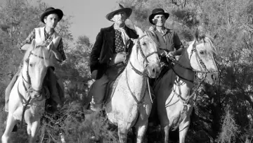 Zasłona do filmu "Crin Blanc : Le Cheval sauvage" #456587