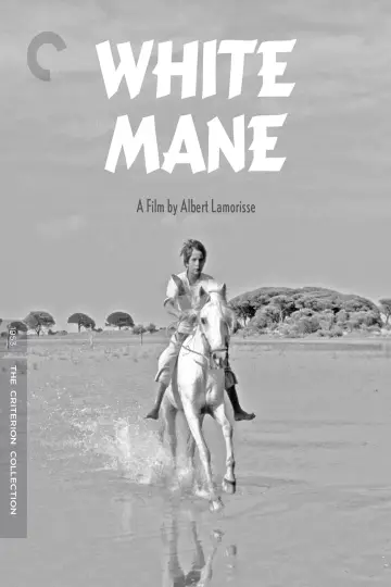 Plakat do filmu "Crin Blanc : Le Cheval sauvage" #456591
