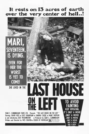 Plakat do filmu "Ostatni dom po lewej" #122879