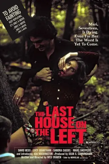 Plakat do filmu "Ostatni dom po lewej" #122880