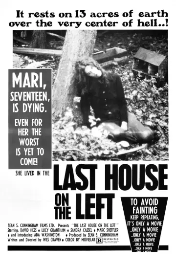 Plakat do filmu "Ostatni dom po lewej" #122885