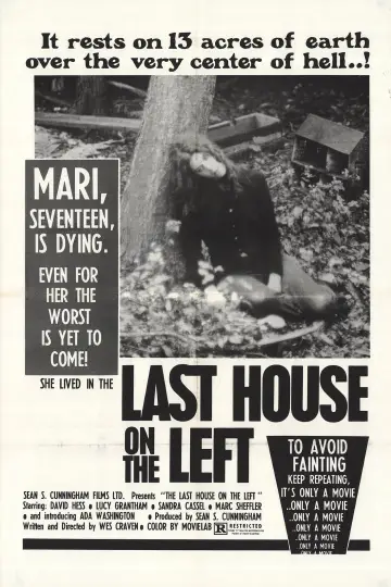 Plakat do filmu "Ostatni dom po lewej" #122886