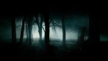 Zasłona do filmu "Uprowadzenie" #276798